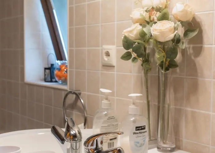 Casa Da Janeira Vieira do Minho